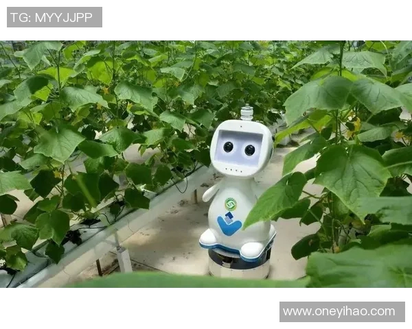 南宫app注册-轻松注册南宫APP,开启便捷生活新篇章-南宫app注册 南宫app注册-轻松注册南宫APP,开启便捷生活新篇章-南宫app注册
